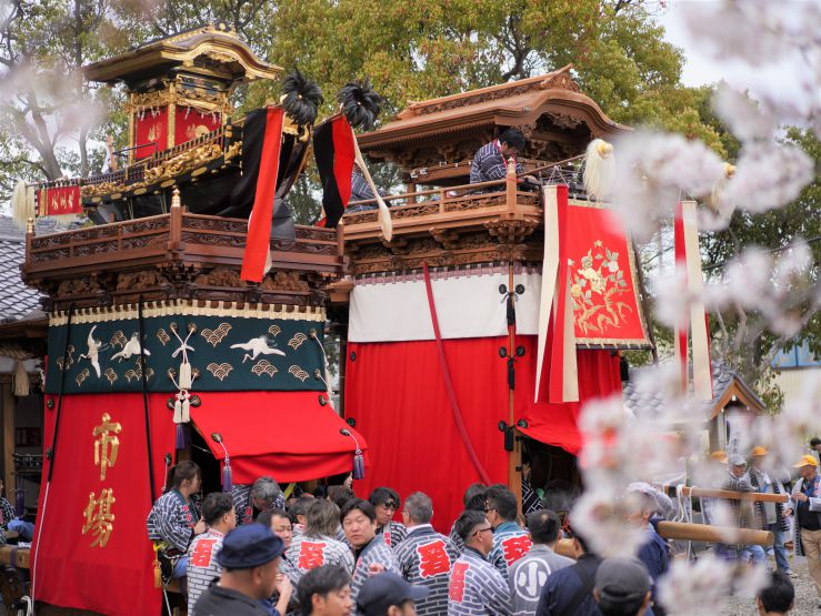 天王丸・本若車と桜